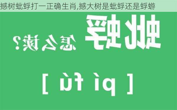 撼树蚍蜉打一正确生肖,撼大树是蚍蜉还是蜉蝣