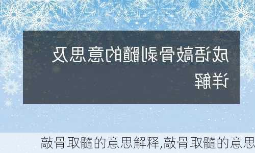 敲骨取髓的意思解释,敲骨取髓的意思