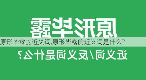 原形毕露的近义词,原形毕露的近义词是什么?