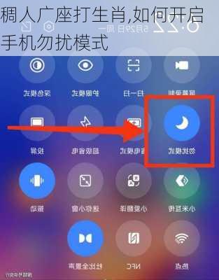 稠人广座打生肖,如何开启手机勿扰模式