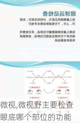 微视,微视野主要检查眼底哪个部位的功能