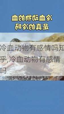 冷血动物有感情吗知乎,冷血动物有感情吗