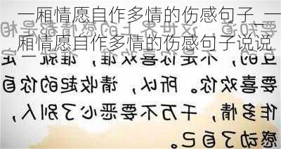 一厢情愿自作多情的伤感句子_一厢情愿自作多情的伤感句子说说