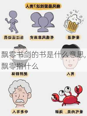 飘零书剑的书是什么意思,飘零指什么