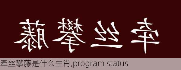 牵丝攀藤是什么生肖,program status