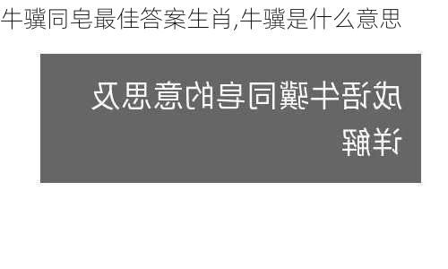 牛骥同皂最佳答案生肖,牛骥是什么意思