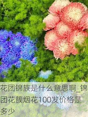 花团锦族是什么意思啊_锦团花簇烟花100发价格是多少