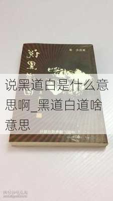 说黑道白是什么意思啊_黑道白道啥意思