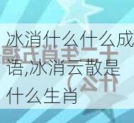 冰消什么什么成语,冰消云散是什么生肖