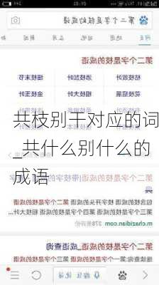 共枝别干对应的词_共什么别什么的成语