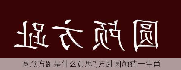 圆颅方趾是什么意思?,方趾圆颅猜一生肖