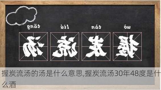 握炭流汤的汤是什么意思,握炭流汤30年48度是什么酒