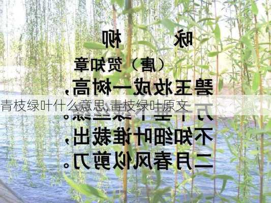 青枝绿叶什么意思,青枝绿叶原文