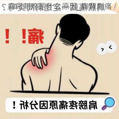 肩背刺疼是什么原因_肩背刺痛