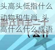 头高头低指什么动物和生肖_头高什么什么成语