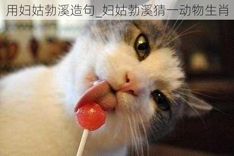 用妇姑勃溪造句_妇姑勃溪猜一动物生肖