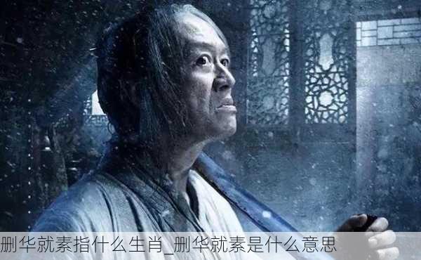 删华就素指什么生肖_删华就素是什么意思