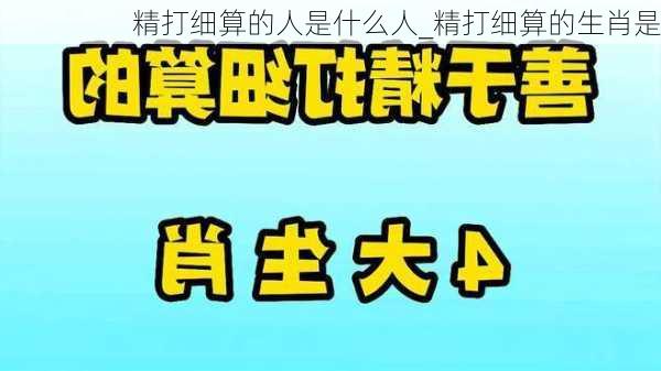 精打细算的人是什么人_精打细算的生肖是