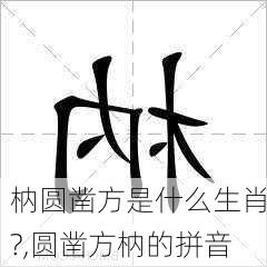 枘圆凿方是什么生肖?,圆凿方枘的拼音