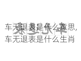 车无退表是什么意思,车无退表是什么生肖