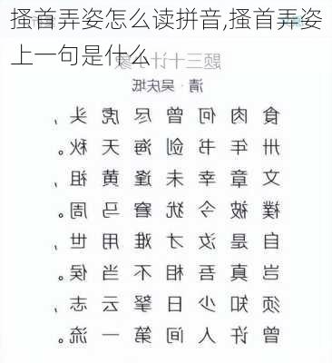 搔首弄姿怎么读拼音,搔首弄姿上一句是什么