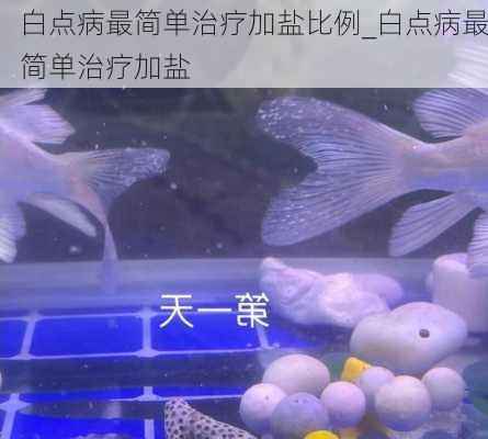 白点病最简单治疗加盐比例_白点病最简单治疗加盐