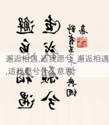 邂逅相遇,适我愿兮_邂逅相遇,适我愿兮什么意思