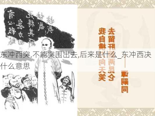 东冲西突,不能突围出去,后来是什么_东冲西决什么意思