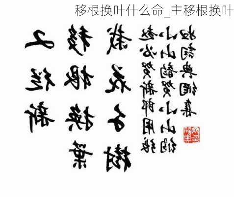 移根换叶什么命_主移根换叶