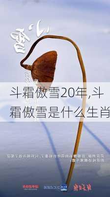 斗霜傲雪20年,斗霜傲雪是什么生肖