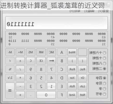 进制转换计算器_狐裘尨茸的近义词