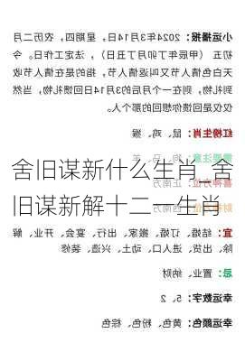 舍旧谋新什么生肖_舍旧谋新解十二一生肖