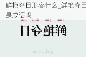 鲜艳夺目形容什么_鲜艳夺目是成语吗