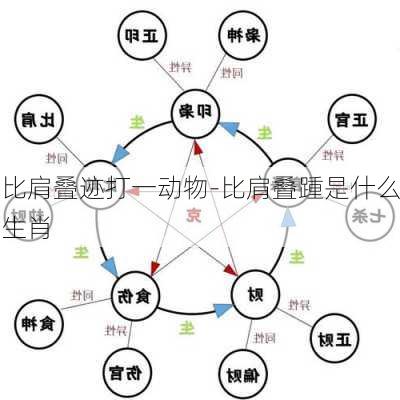 比肩叠迹打一动物-比肩叠踵是什么生肖